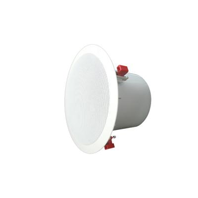 DSP211 8 ইঞ্চি 45W সিলিং Subwoofer