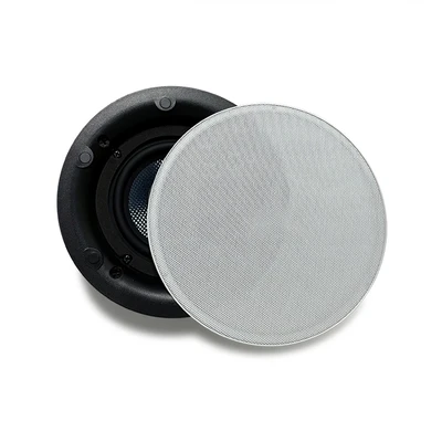 DW2230 DW2230S 2×30W WiFi Active Ceiling Speaker System - 翻译中...